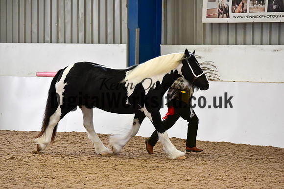 NECWPCA-SUMMER-WELSH-SILVER-MEDAL-SHOW (37 of 150)