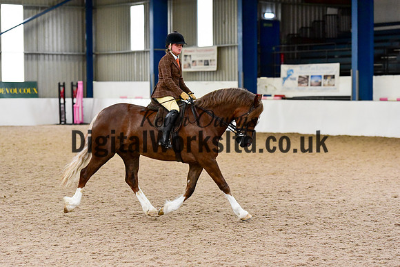 NECWPCA-SUMMER-WELSH-SILVER-MEDAL-SHOW (9 of 92)