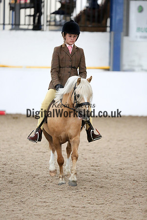 NECWPCA-SUMMER-WELSH-SILVER-MEDAL-SHOW (40 of 325)