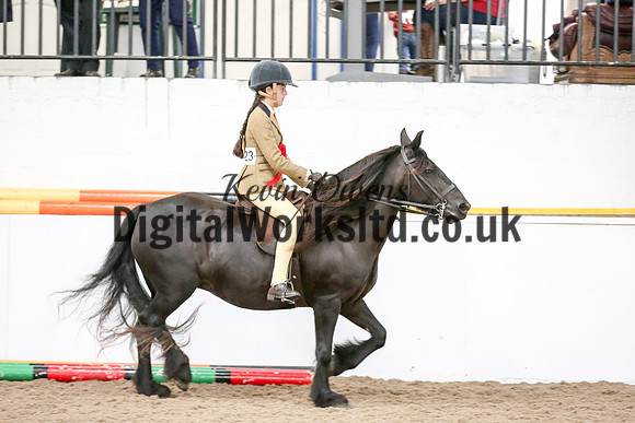 NECWPCA-SUMMER-WELSH-SILVER-MEDAL-SHOW (109 of 315)
