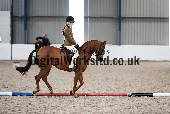 NECWPCA-SUMMER-WELSH-SILVER-MEDAL-SHOW (63 of 325)