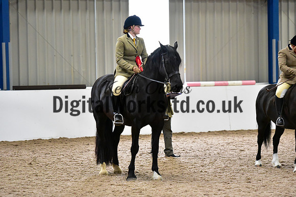 NECWPCA-SUMMER-WELSH-SILVER-MEDAL-SHOW (102 of 315)