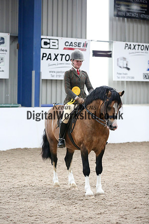 NECWPCA-SUMMER-WELSH-SILVER-MEDAL-SHOW (21 of 325)