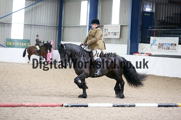 NECWPCA-SUMMER-WELSH-SILVER-MEDAL-SHOW (116 of 325)