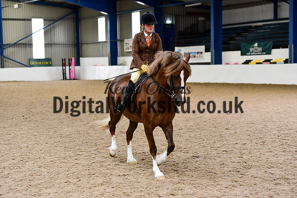 NECWPCA-SUMMER-WELSH-SILVER-MEDAL-SHOW (2 of 92)