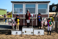 ** FREE Images and Podium **