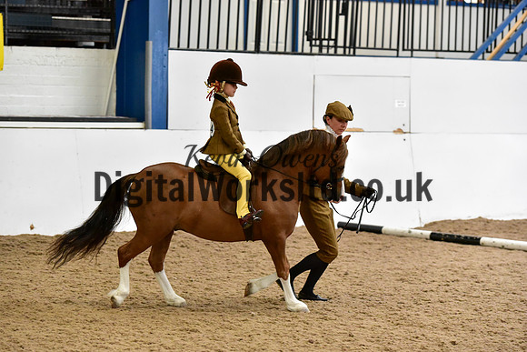 NECWPCA-SUMMER-WELSH-SILVER-MEDAL-SHOW (5 of 419)