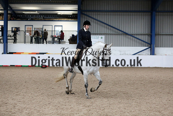 NECWPCA-SUMMER-WELSH-SILVER-MEDAL-SHOW (54 of 315)