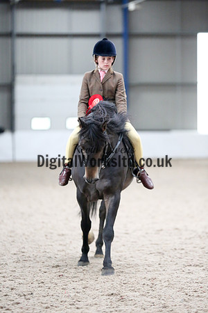 NECWPCA-SUMMER-WELSH-SILVER-MEDAL-SHOW (172 of 325)