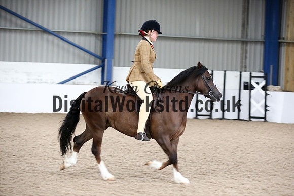 NECWPCA-SUMMER-WELSH-SILVER-MEDAL-SHOW (8 of 325)