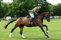 ** Working Hunter **