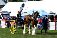 Parade