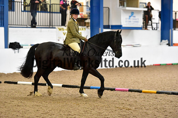 NECWPCA-SUMMER-WELSH-SILVER-MEDAL-SHOW (39 of 315)