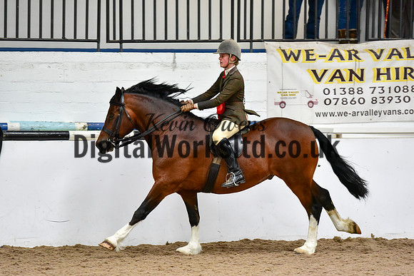NECWPCA-SUMMER-WELSH-SILVER-MEDAL-SHOW (198 of 325)