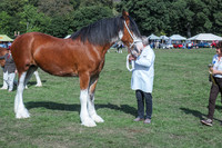 Parade and Prize Giving