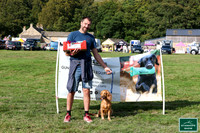 FREE - Gundog Scurry Winners