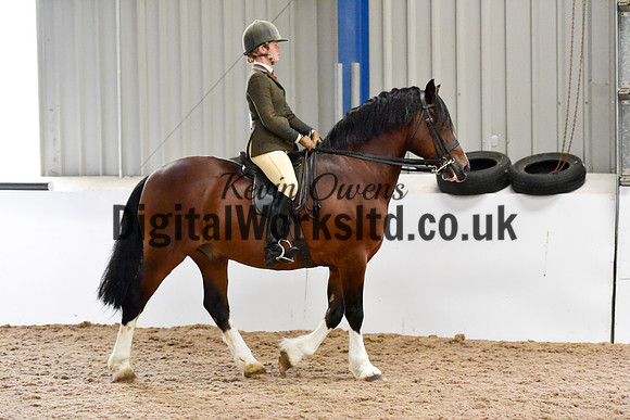 NECWPCA-SUMMER-WELSH-SILVER-MEDAL-SHOW (113 of 325)