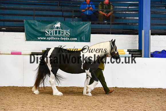 NECWPCA-SUMMER-WELSH-SILVER-MEDAL-SHOW (13 of 150)