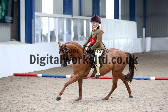 NECWPCA-SUMMER-WELSH-SILVER-MEDAL-SHOW (126 of 315)