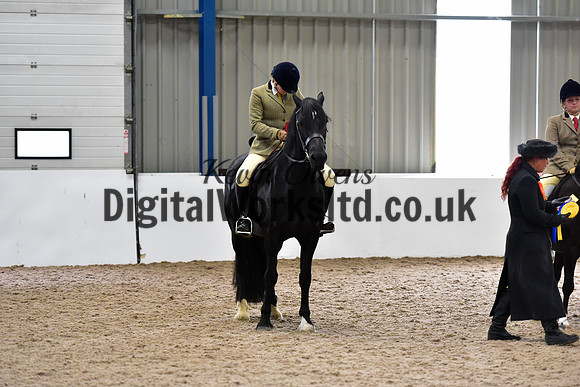 NECWPCA-SUMMER-WELSH-SILVER-MEDAL-SHOW (101 of 315)