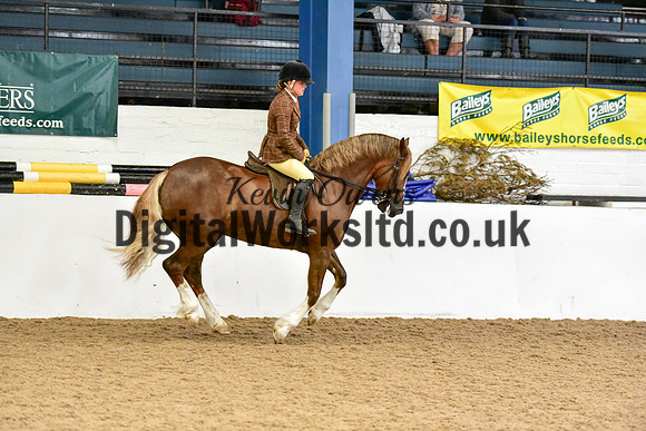 NECWPCA-SUMMER-WELSH-SILVER-MEDAL-SHOW (172 of 315)