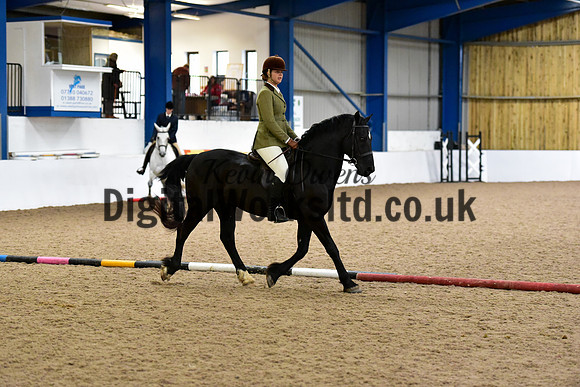 NECWPCA-SUMMER-WELSH-SILVER-MEDAL-SHOW (42 of 315)