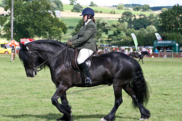 untitled (1303 of 736)