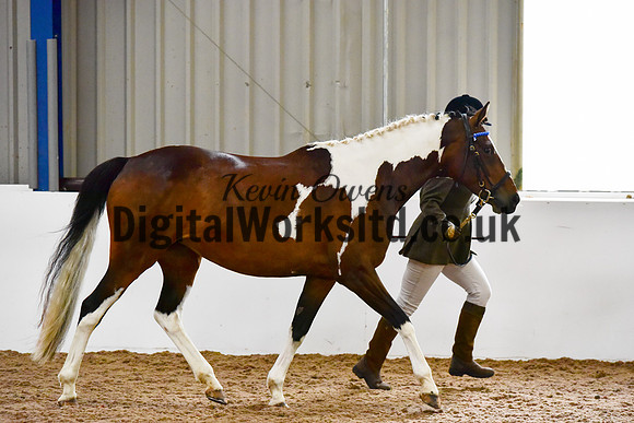NECWPCA-SUMMER-WELSH-SILVER-MEDAL-SHOW (16 of 150)