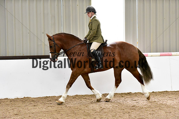 NECWPCA-SUMMER-WELSH-SILVER-MEDAL-SHOW (175 of 315)