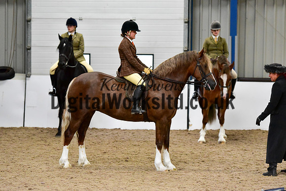 NECWPCA-SUMMER-WELSH-SILVER-MEDAL-SHOW (209 of 315)