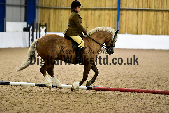 NECWPCA-SUMMER-WELSH-SILVER-MEDAL-SHOW (25 of 325)