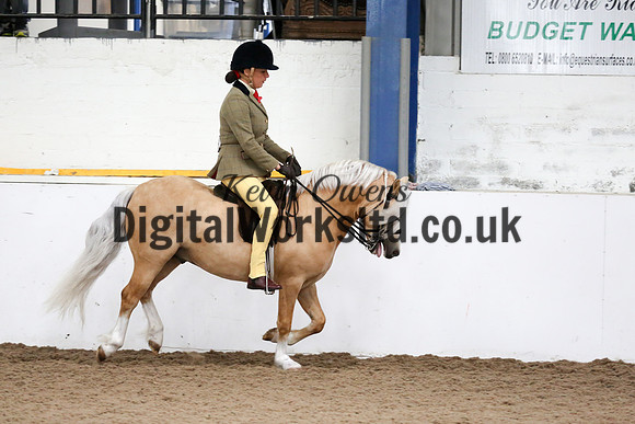 NECWPCA-SUMMER-WELSH-SILVER-MEDAL-SHOW (211 of 315)