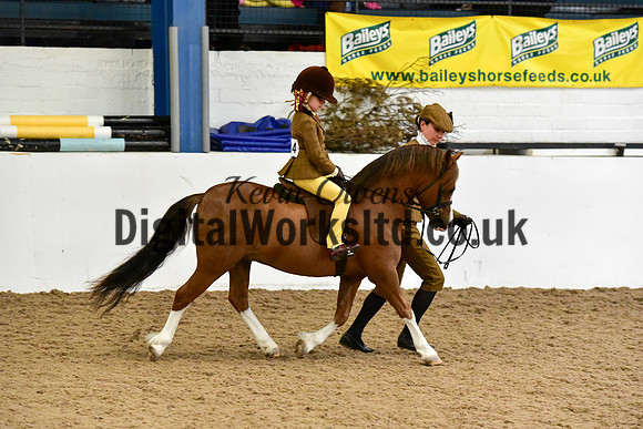NECWPCA-SUMMER-WELSH-SILVER-MEDAL-SHOW (4 of 419)