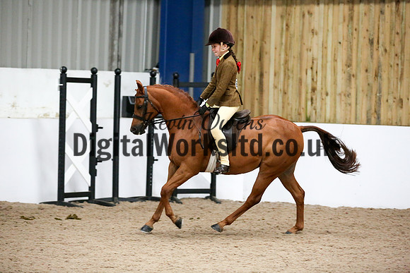 NECWPCA-SUMMER-WELSH-SILVER-MEDAL-SHOW (66 of 325)