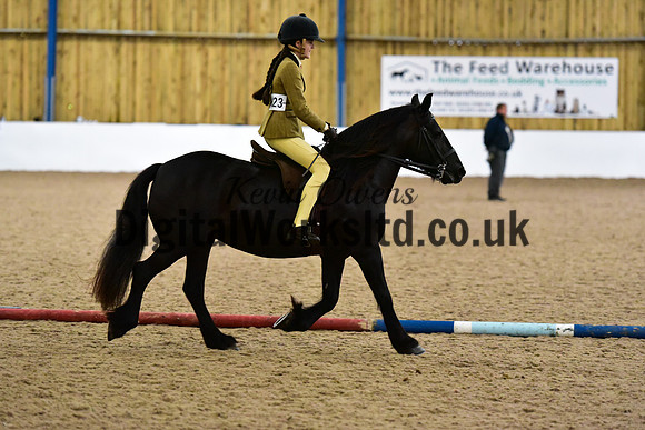NECWPCA-SUMMER-WELSH-SILVER-MEDAL-SHOW (23 of 325)