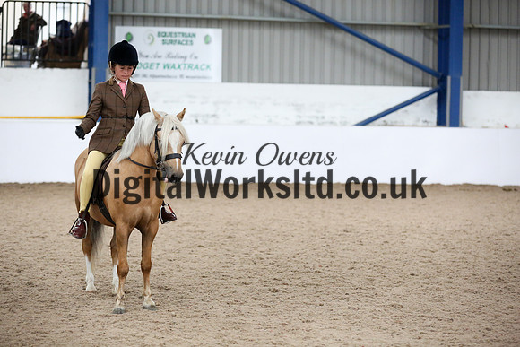 NECWPCA-SUMMER-WELSH-SILVER-MEDAL-SHOW (46 of 325)