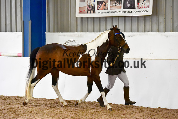 NECWPCA-SUMMER-WELSH-SILVER-MEDAL-SHOW (19 of 150)