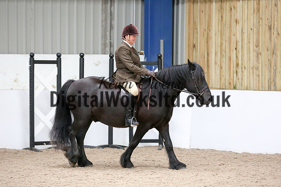 NECWPCA-SUMMER-WELSH-SILVER-MEDAL-SHOW (6 of 334)
