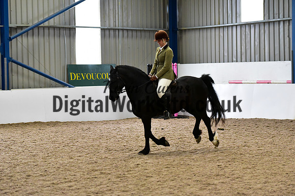 NECWPCA-SUMMER-WELSH-SILVER-MEDAL-SHOW (80 of 315)