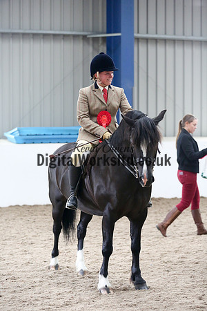 NECWPCA-SUMMER-WELSH-SILVER-MEDAL-SHOW (17 of 325)