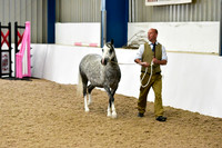 NECWPCA-SUMMER-WELSH-SILVER-MEDAL-SHOW (11 of 412)