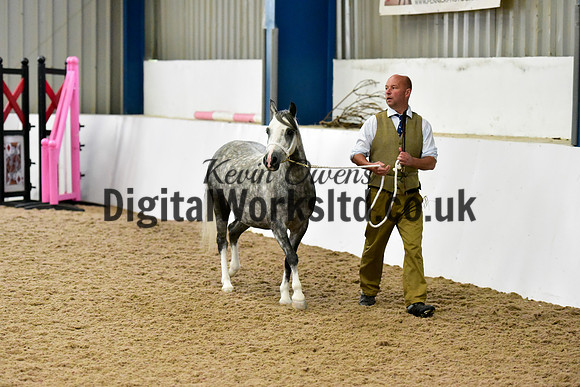 NECWPCA-SUMMER-WELSH-SILVER-MEDAL-SHOW (11 of 412)