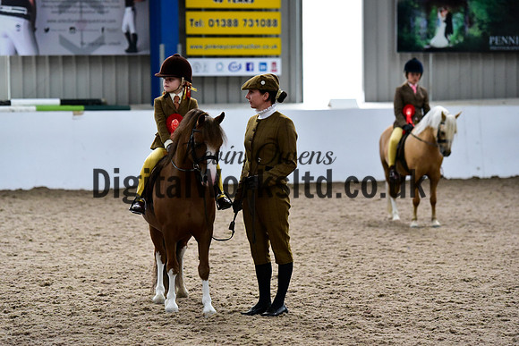 NECWPCA-SUMMER-WELSH-SILVER-MEDAL-SHOW (85 of 92)