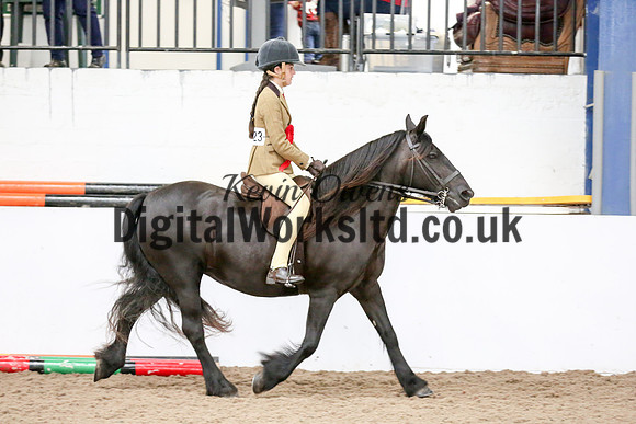 NECWPCA-SUMMER-WELSH-SILVER-MEDAL-SHOW (110 of 315)