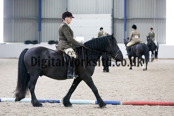 NECWPCA-SUMMER-WELSH-SILVER-MEDAL-SHOW (86 of 315)