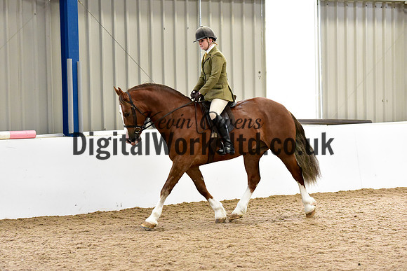 NECWPCA-SUMMER-WELSH-SILVER-MEDAL-SHOW (174 of 315)