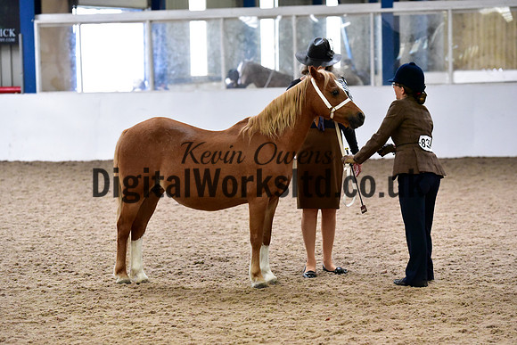NECWPCA-SUMMER-WELSH-SILVER-MEDAL-SHOW (12 of 134)
