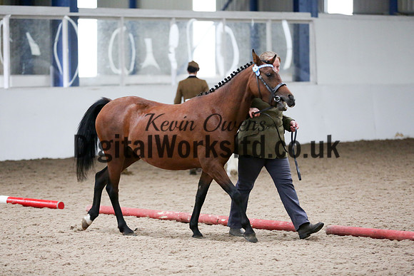 NECWPCA-SUMMER-WELSH-SILVER-MEDAL-SHOW (30 of 412)