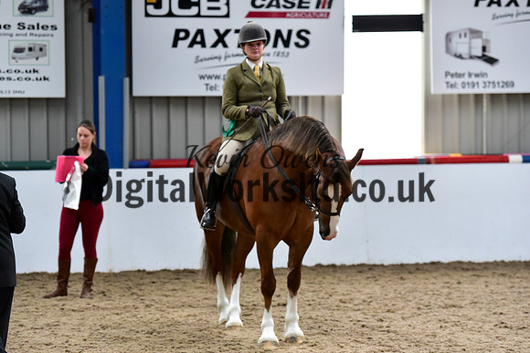 NECWPCA-SUMMER-WELSH-SILVER-MEDAL-SHOW (26 of 92)