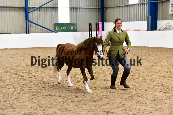 NECWPCA-SUMMER-WELSH-SILVER-MEDAL-SHOW (2 of 134)